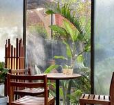 Zen Cafe