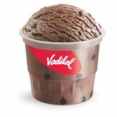 Vadilal Ice Creams