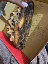 Laziz Pizza