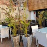 3 Storey