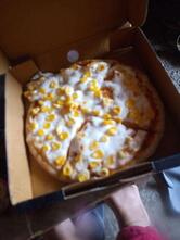 Alvin Pizza Nayagaon