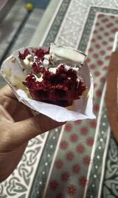 The Belgian Waffle Co