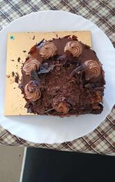 Theobroma