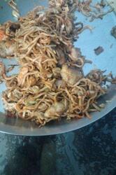Yum Yum