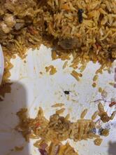 BIRYANI JEE