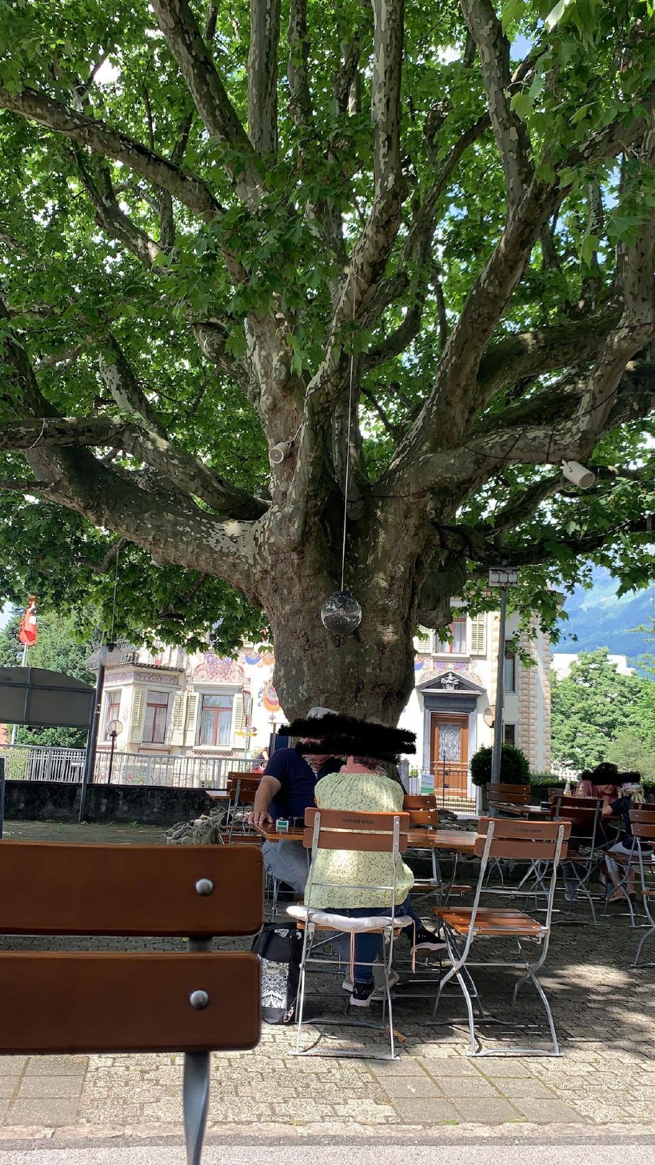 Hotel Churfirsten Walenstadt