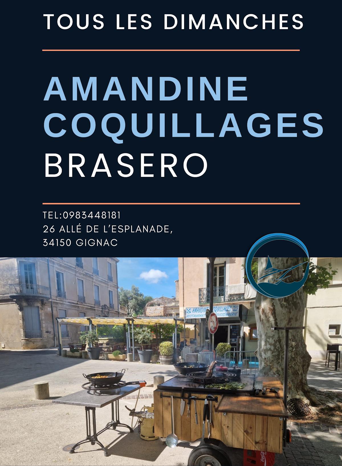 Amandine coquillage