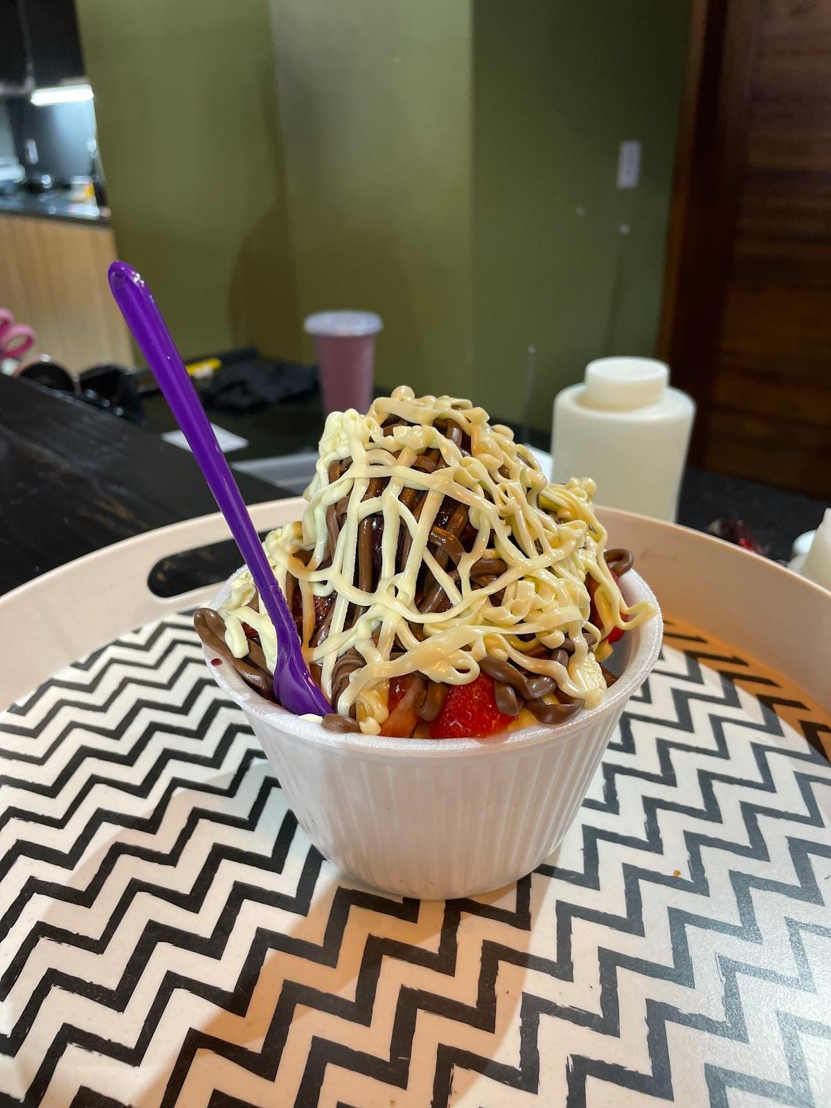 Açaí da Terra