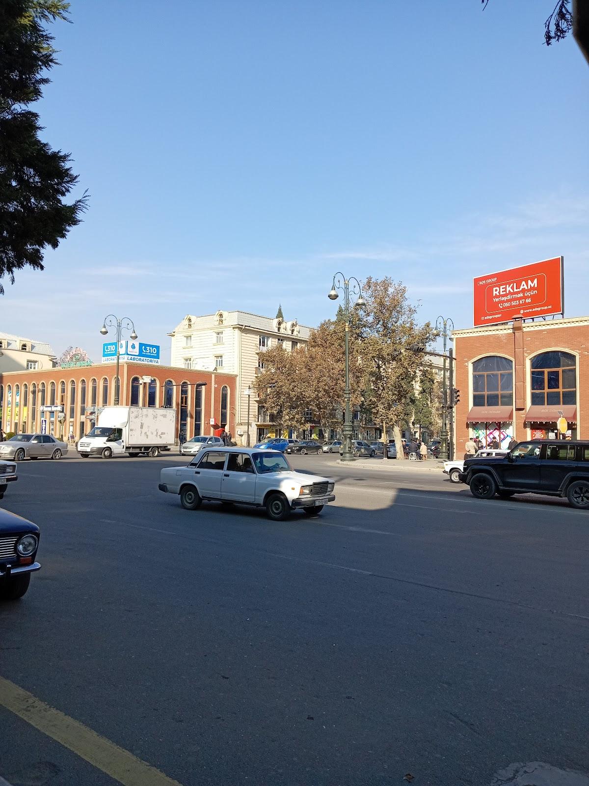 BOL 3