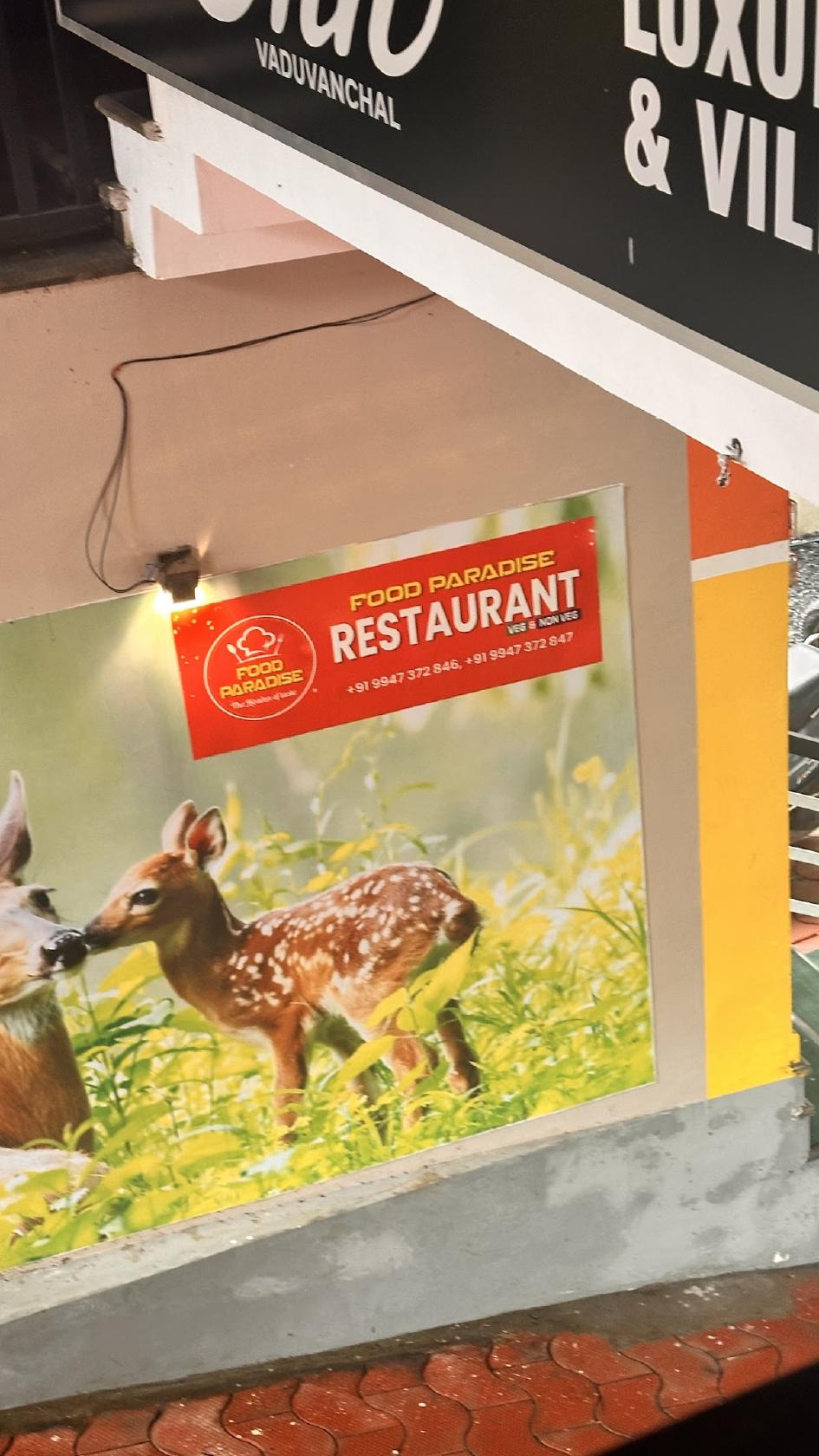 Food paradise