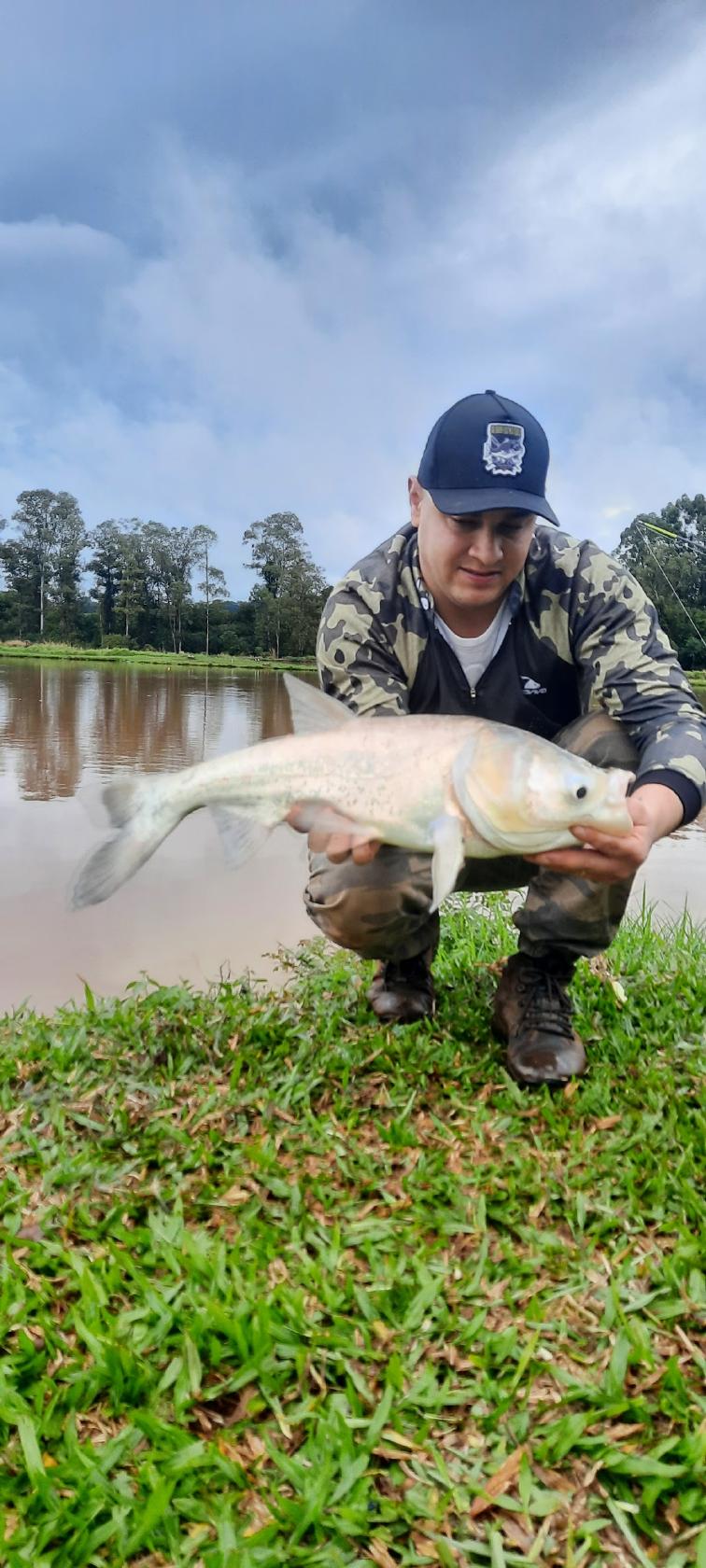 Sabores do Campo Peixaria