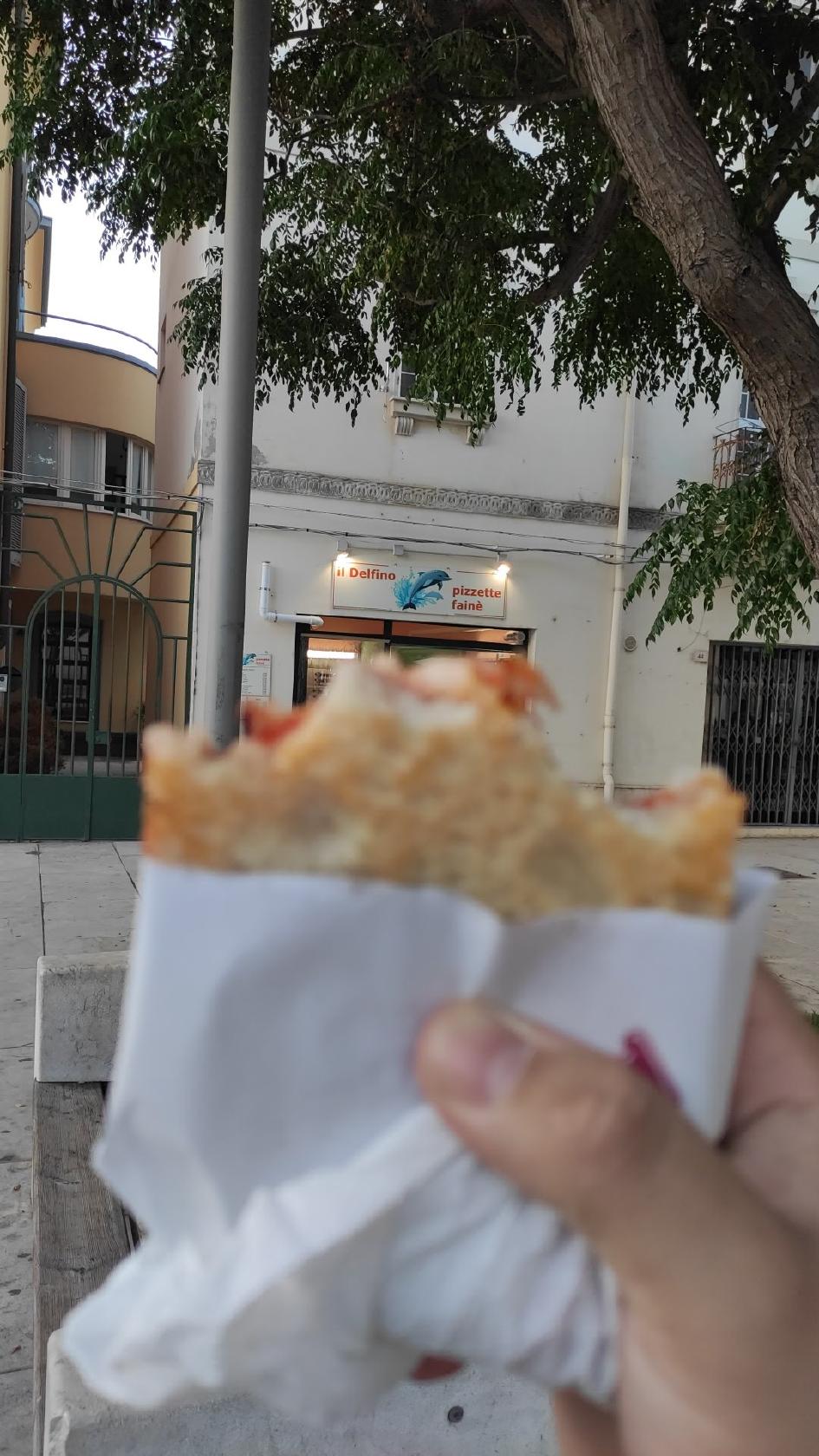 Il Delfino
