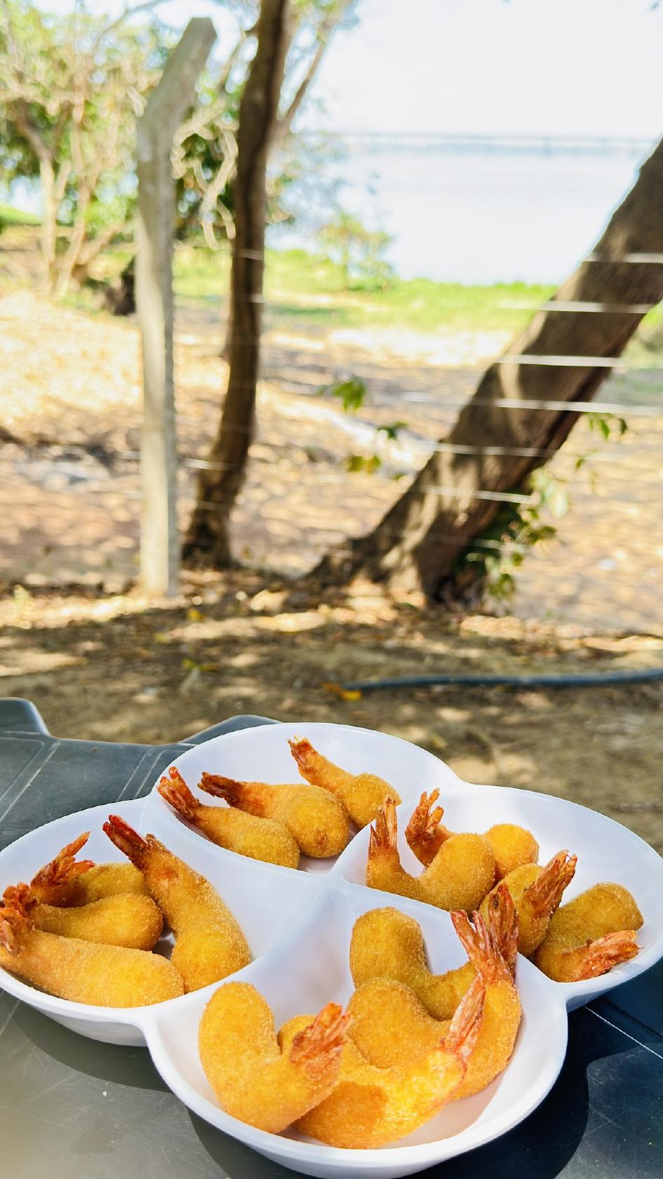 Sabor da Terra
