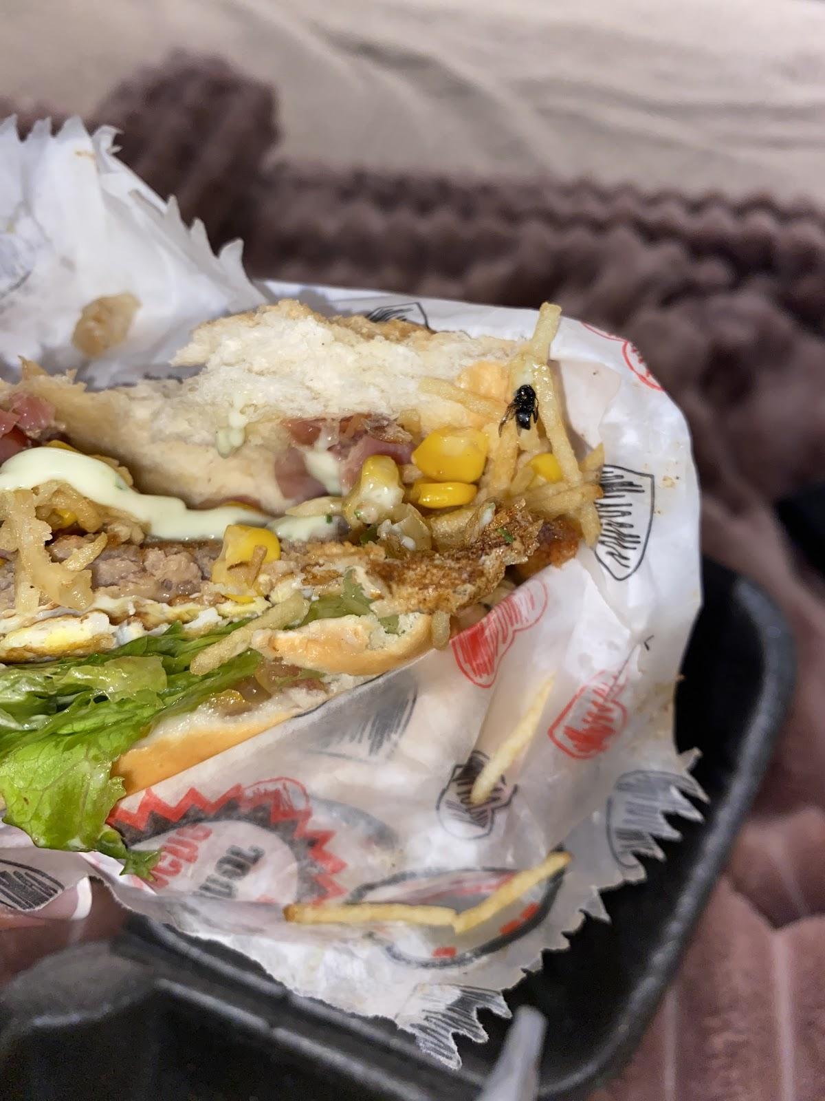 14 irmãos lanches