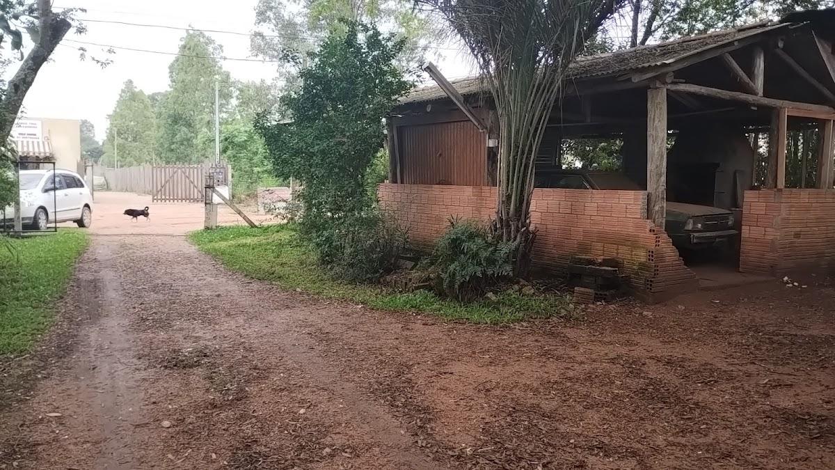 Bar do lagarto