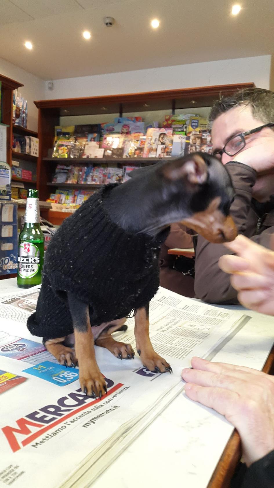 Bar Tabacchi Giornali