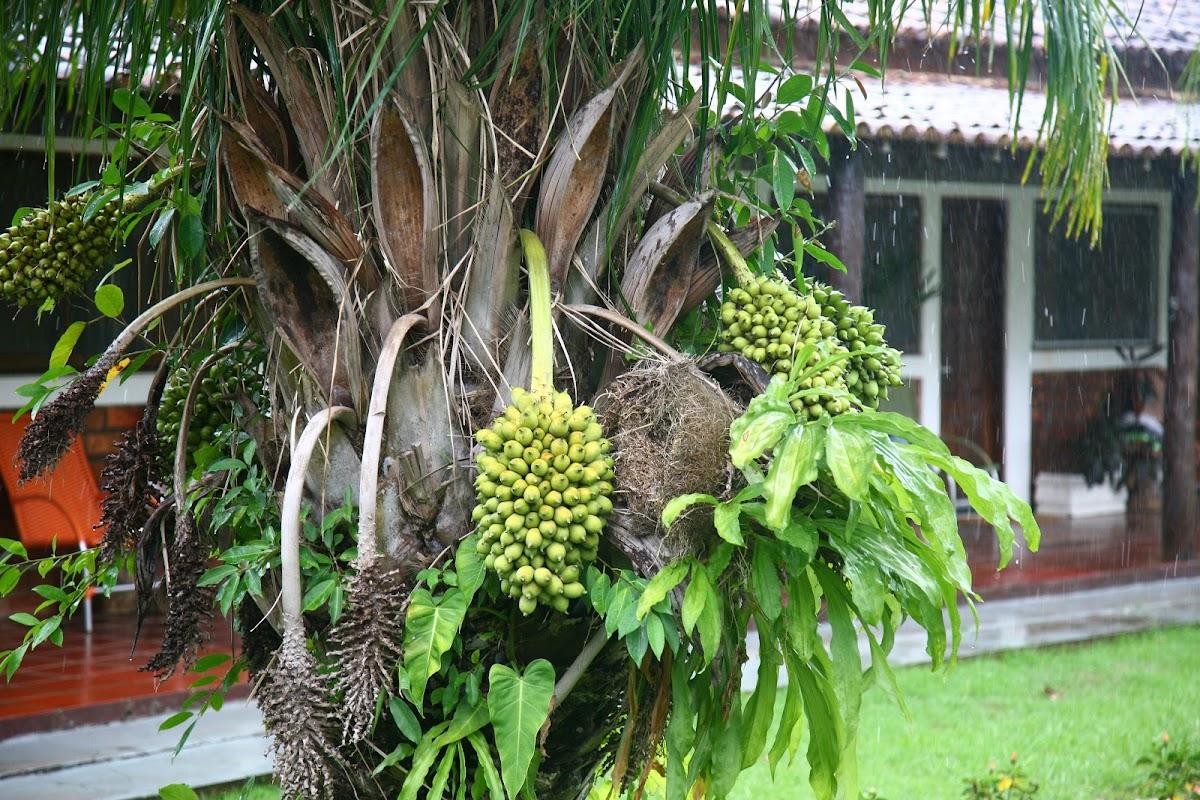 Pousada Piuval