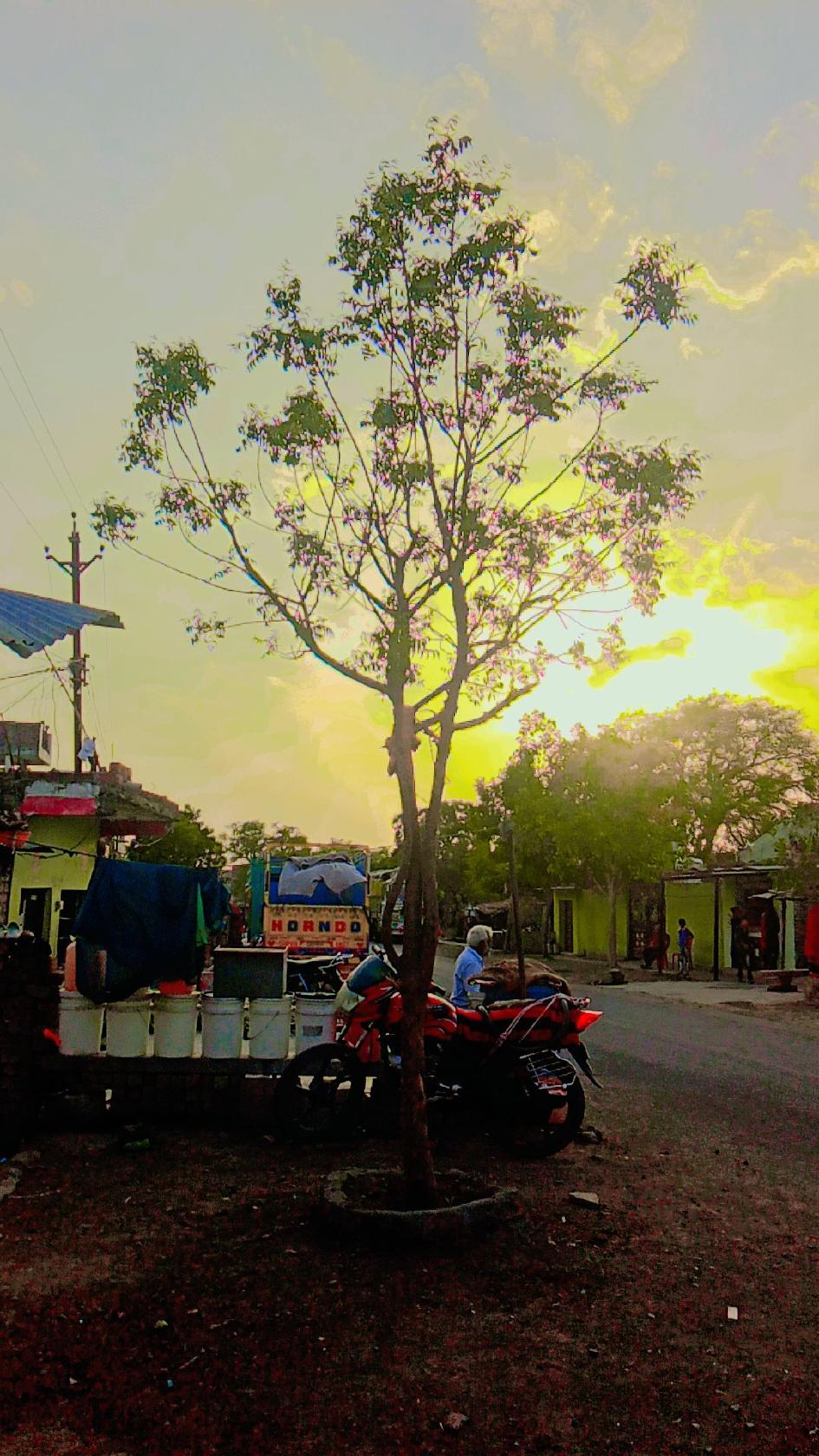 Om Sai Dhaba & Restaurant