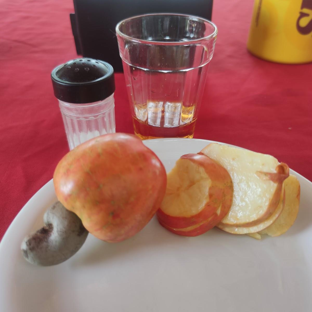 Aconchego dos Pássaros