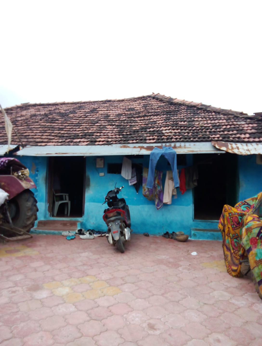 Kareli basti