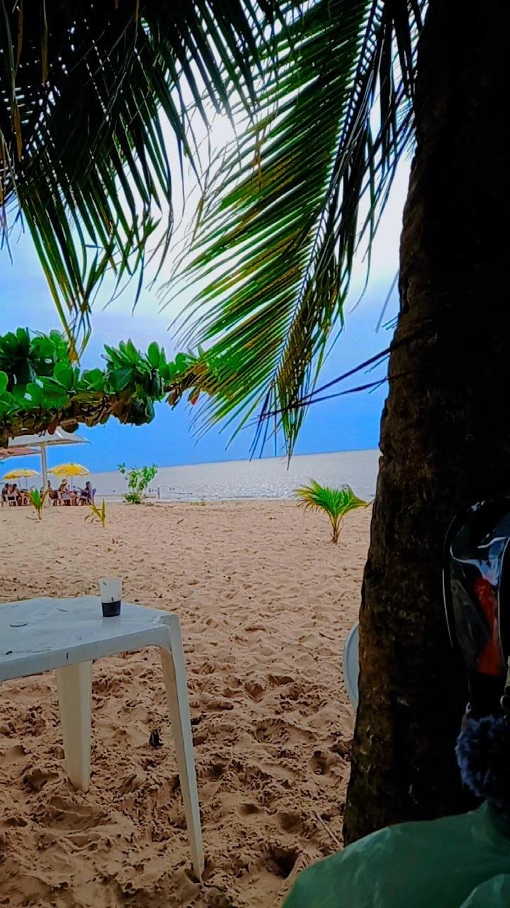 O Azulão