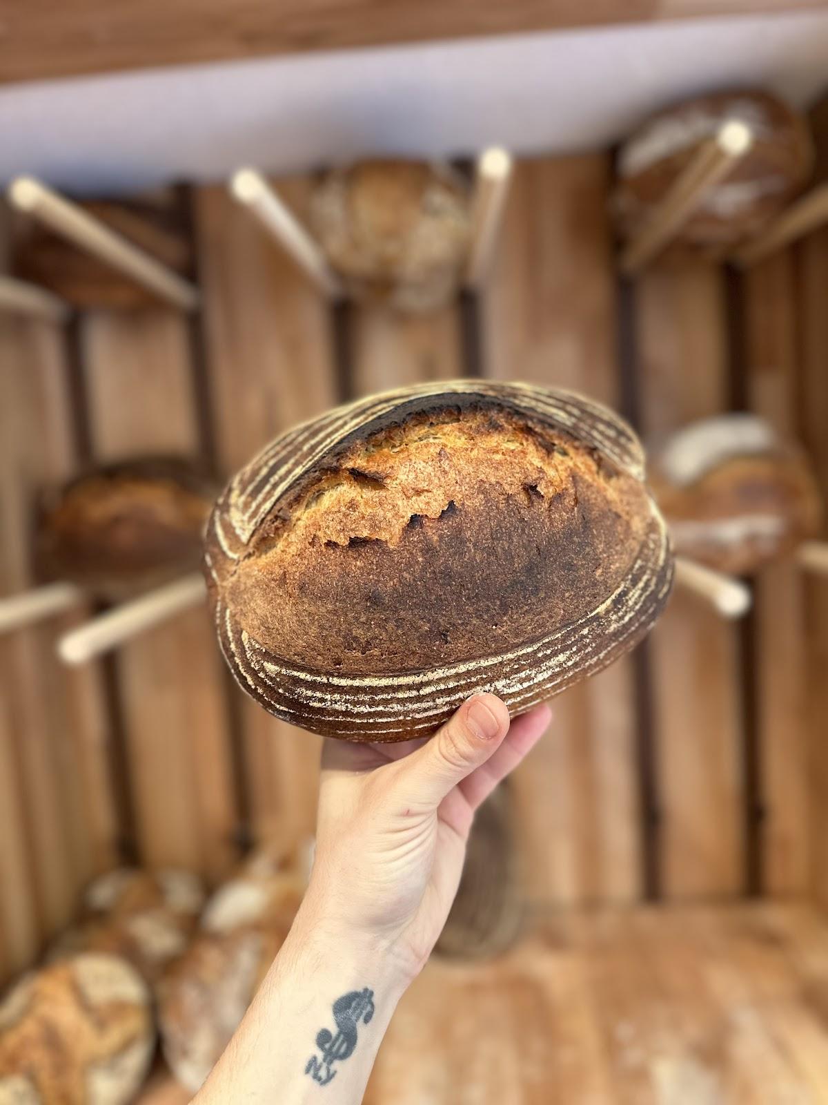 Coce Bakery Micropanificio