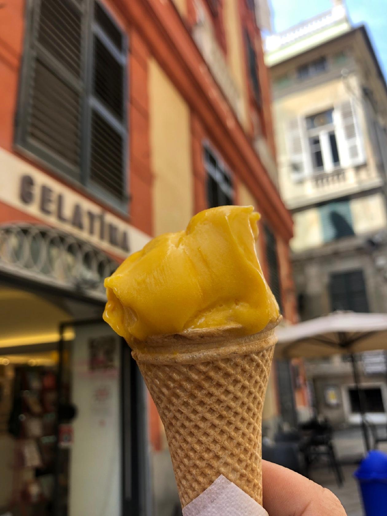 Gelatina