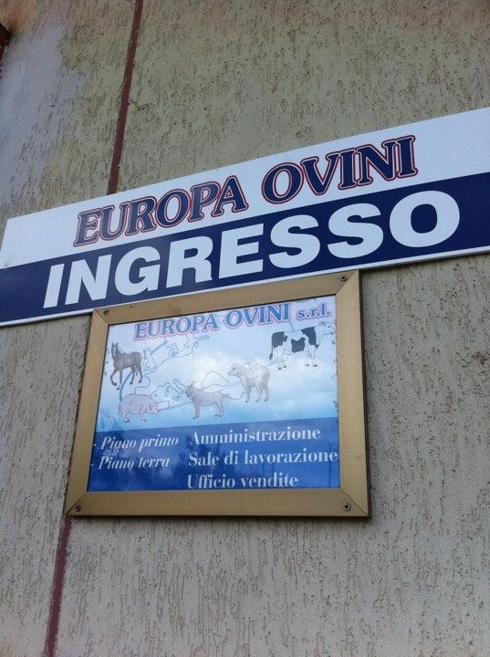 Europa Ovini