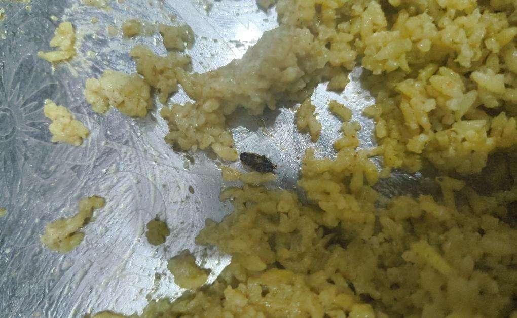 Donne Biriyani Kendra