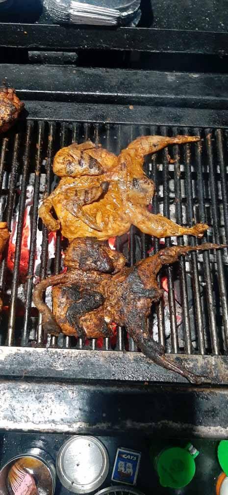 TN 28 BBQ
