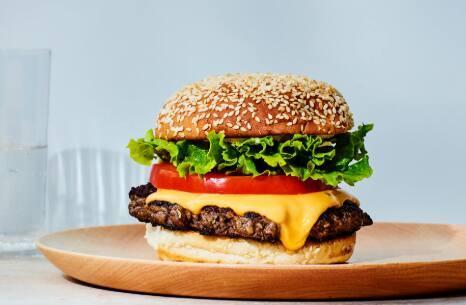 The Burger Bite