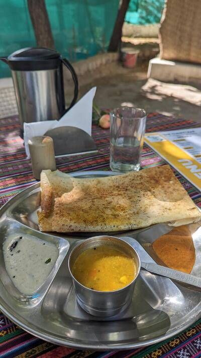 The Curry leaf photo