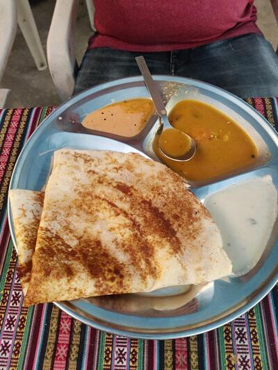 The Curry leaf photo