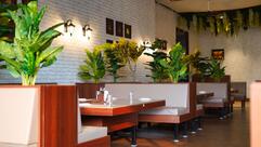 The Grand Oasis
