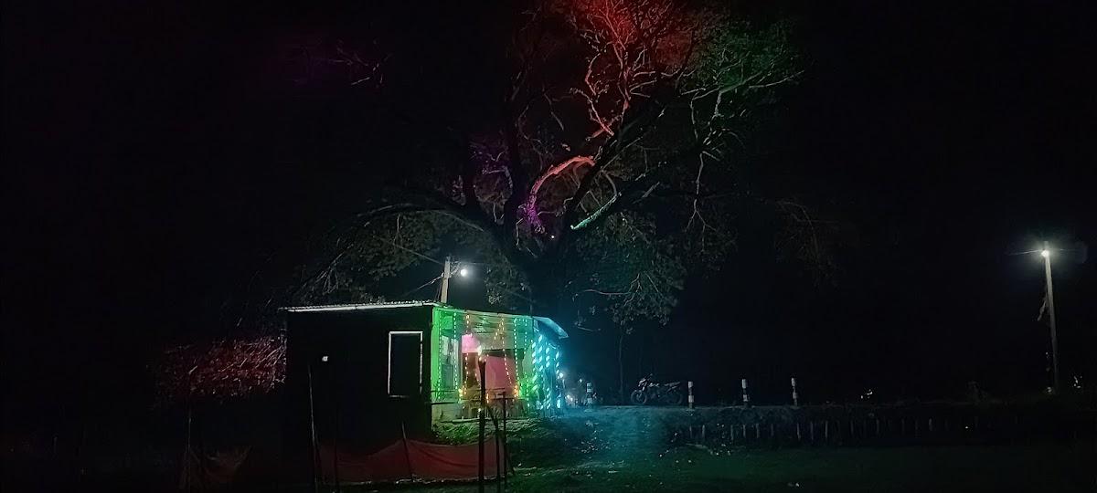 TREE HOUSE CAFE & RESTAURANT