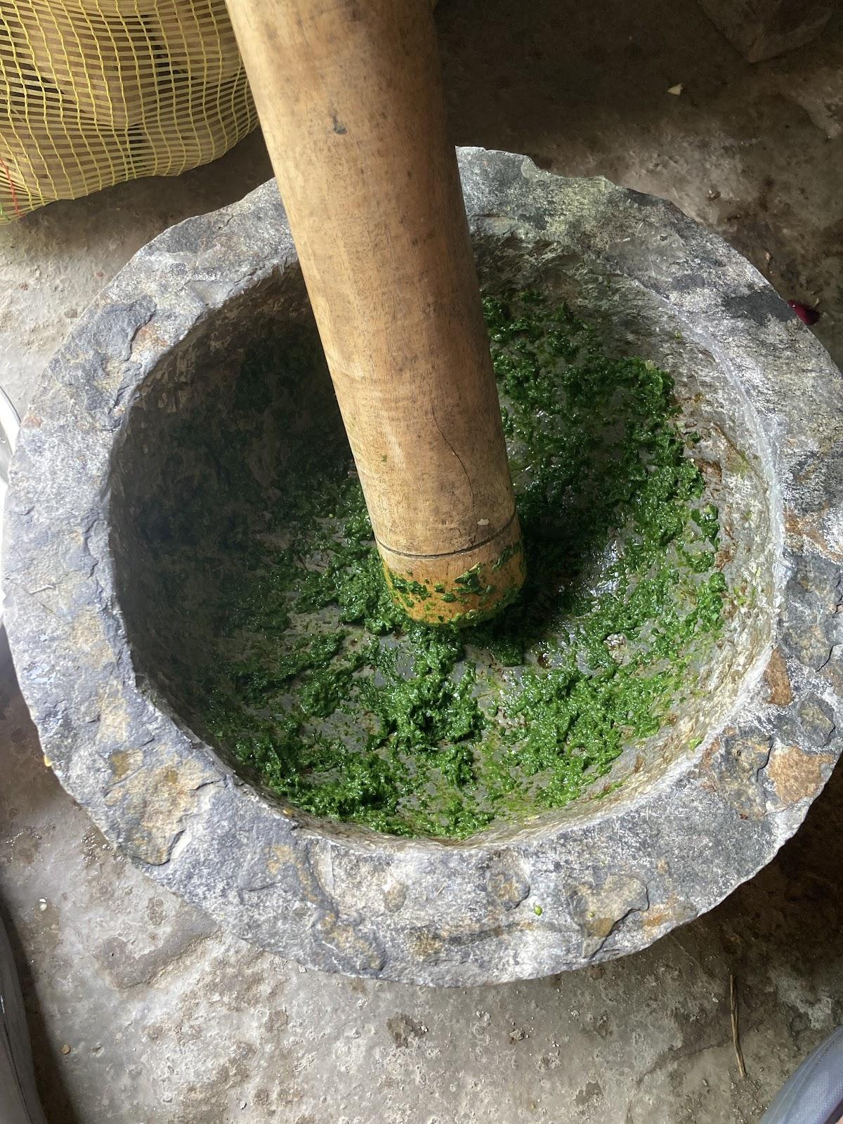 Apni rasoi ganaur
