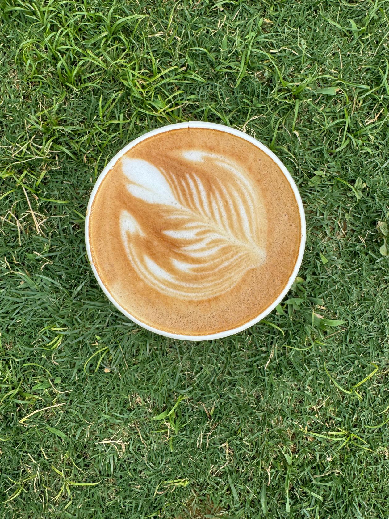 Fortune Coffee