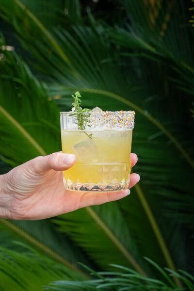 Agave Cocktail Bar foto