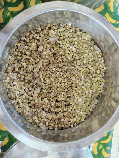 Harishwar Millets photo