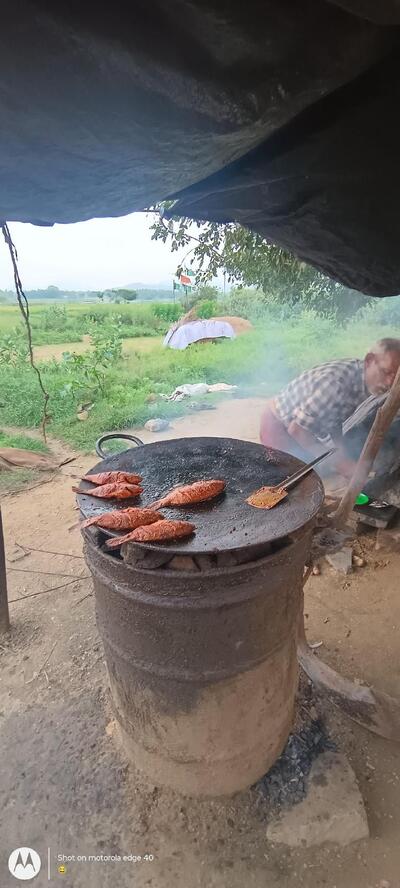 Fish fry photo