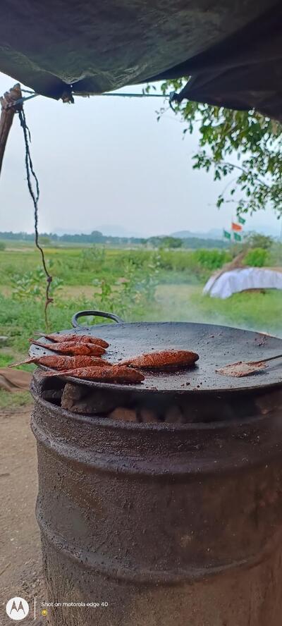 Fish fry photo