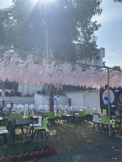 Tea Hub photo