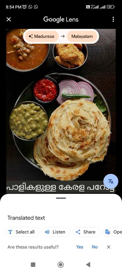 Vrindavan Restaurant photo