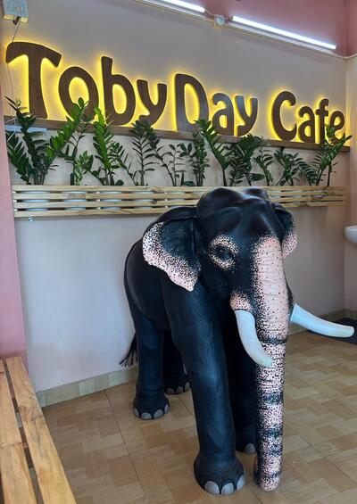TobyDay Cafe photo