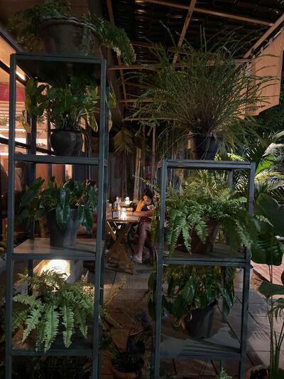 Oya’s Umami Cafe photo