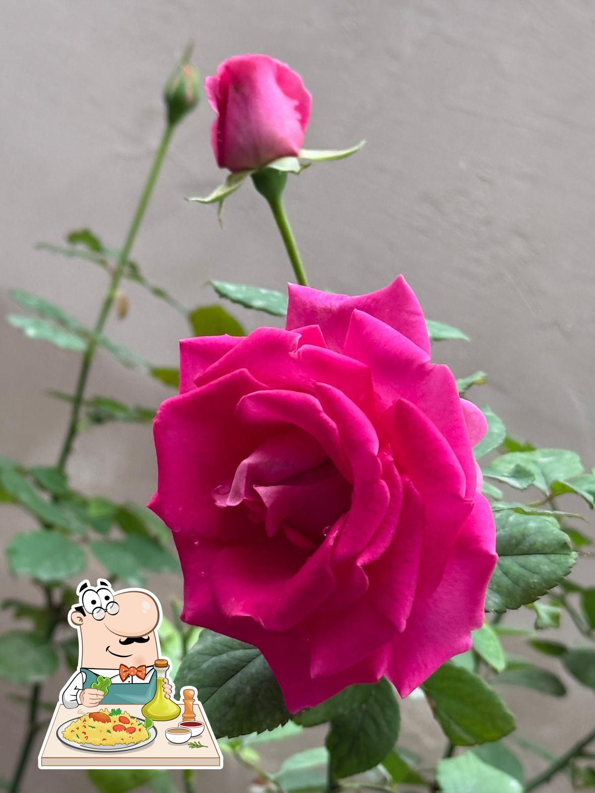 Photo from Google