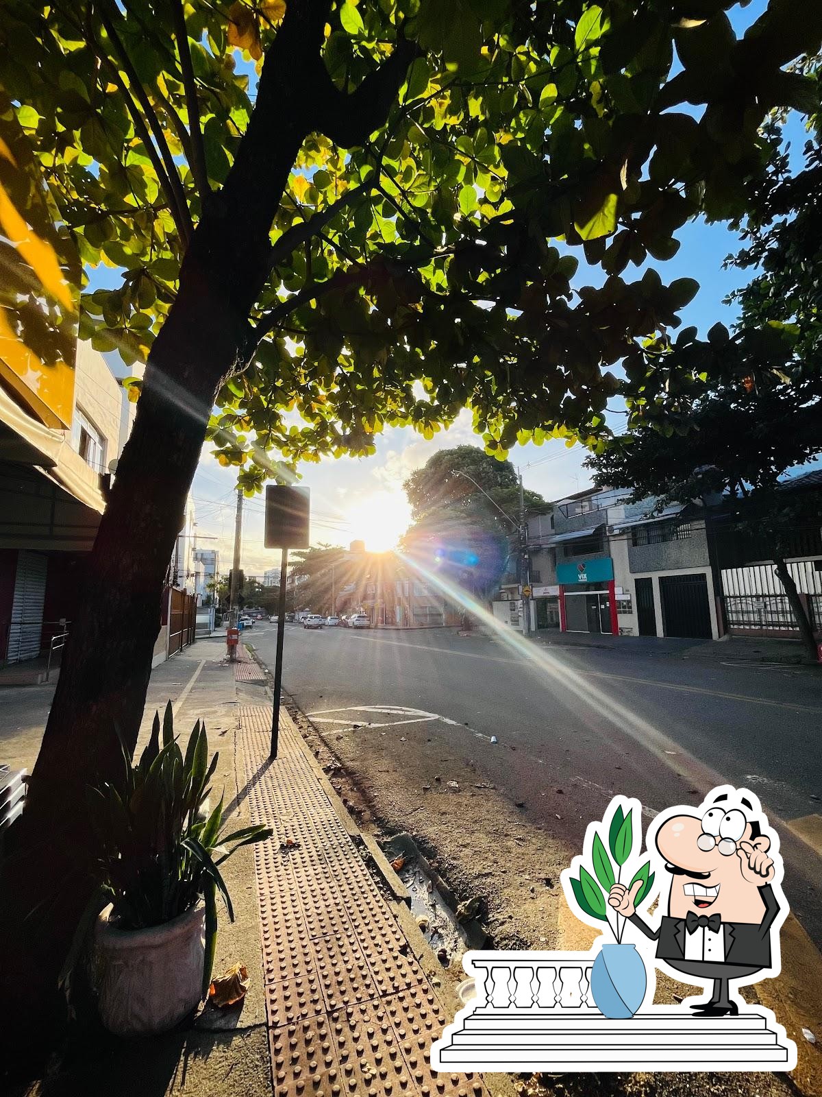 Foto do Google