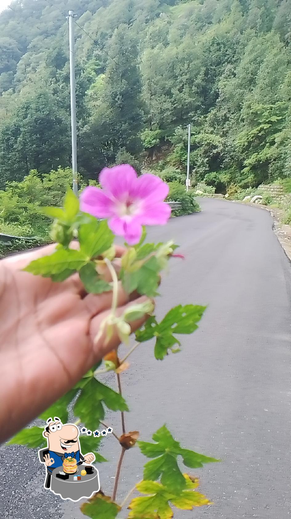 Photo from Google