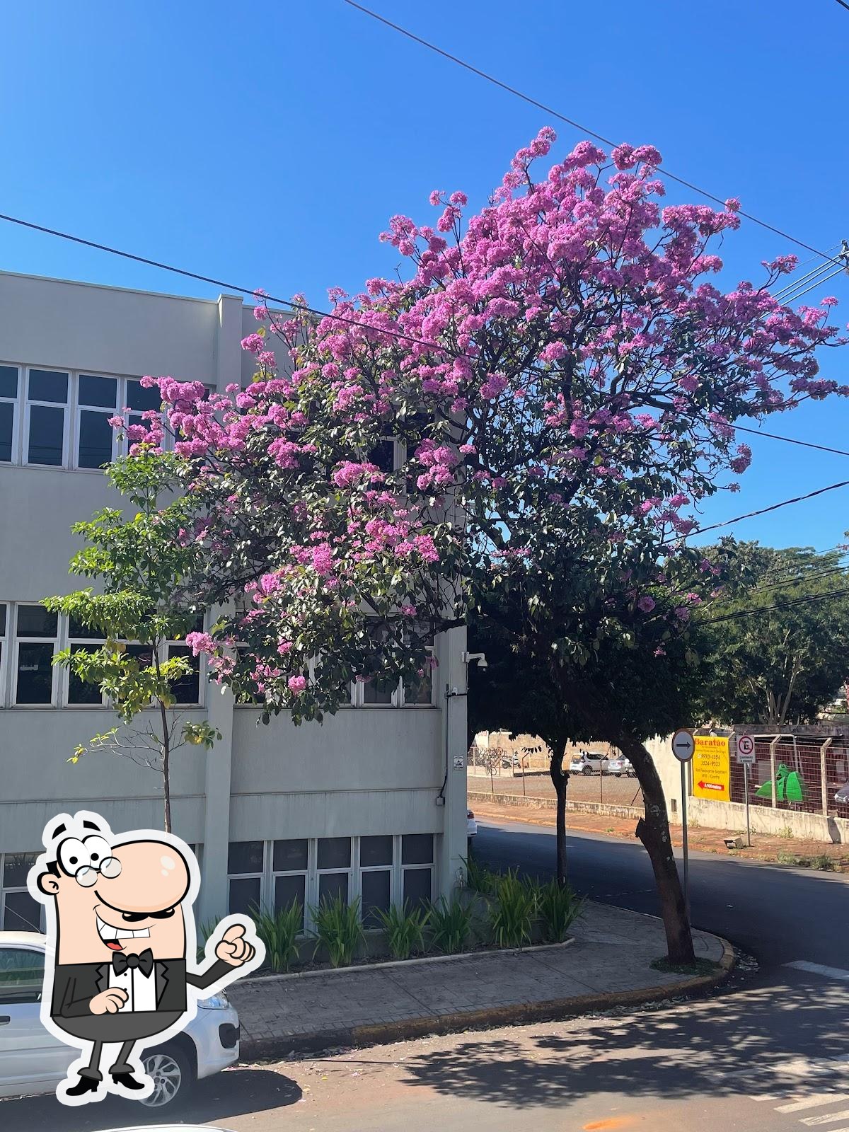 Foto do Google