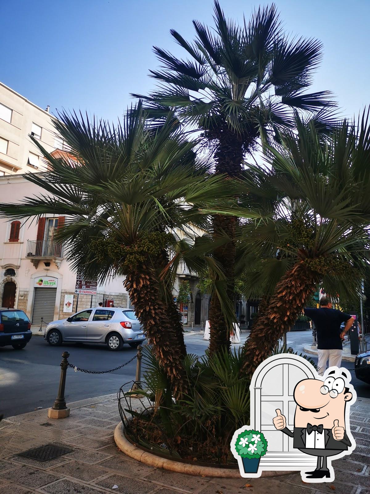 Foto di Google